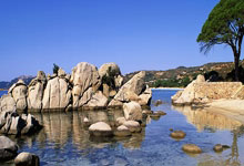 天涯神贴真假难辨？老司机带你扒一扒那些年我们当下的爆帖八卦。